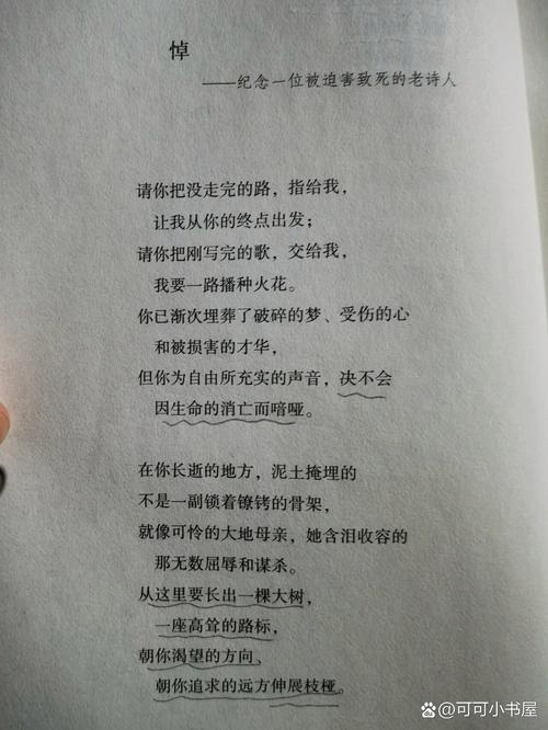 亦舒的诗歌有何独特魅力？-图1