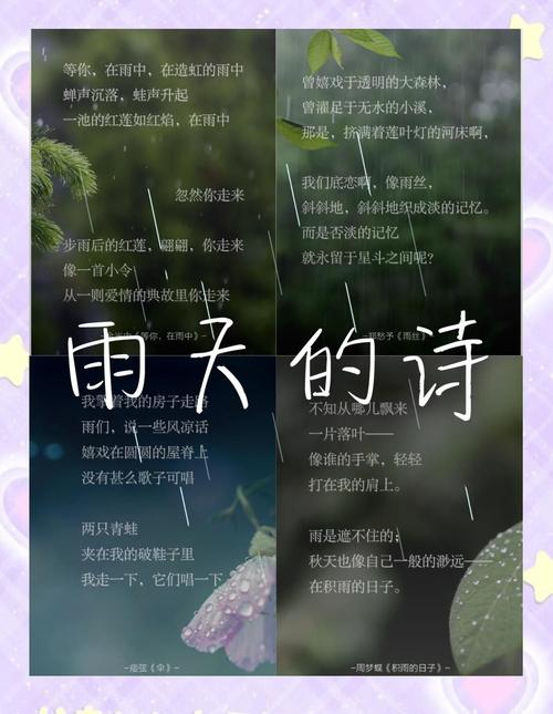 雨中诗歌-图2 雨中诗歌-图2