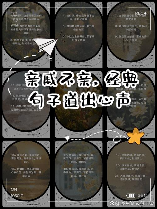 亲情 诗歌 感人-图2