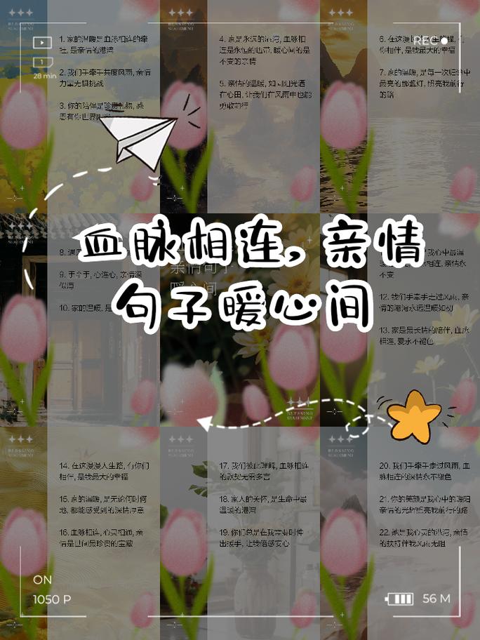 亲情 诗歌 感人-图3