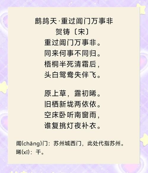 鹧鸪天诗风何其独特？-图2