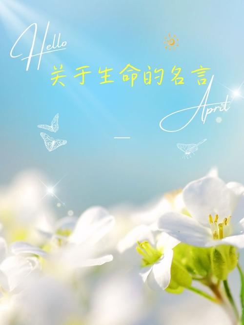 生命意义的名言-图1