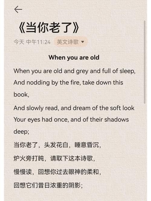 诗歌朗诵当你老了诗词-图3