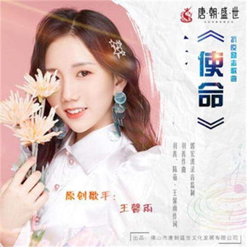 使命 诗歌，使命诗歌原唱-图2