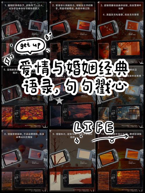 婚姻的名言,婚姻的名言名句-图3 婚姻的名言,婚姻的名言名句-图3