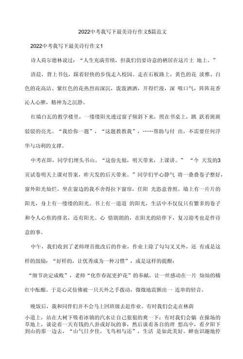 诗歌伴我行，诗歌伴我行作文-图3