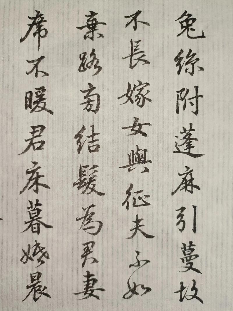 征婚群的诗歌，征婚群的诗歌怎么写-图2