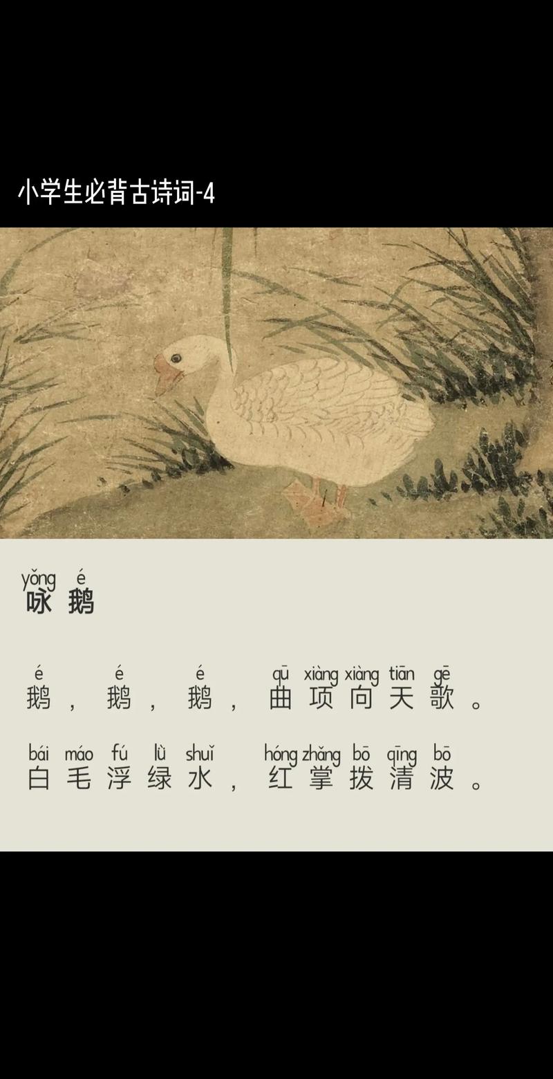 天鹅的诗歌，天鹅的诗歌美文-图2