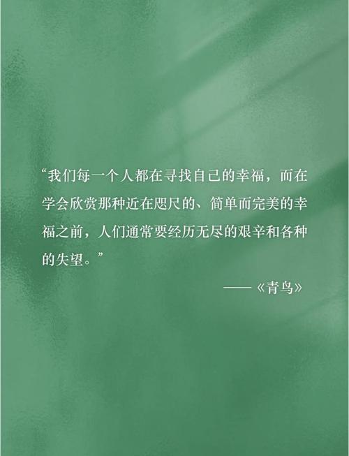 青鸟的诗歌，青鸟的诗歌意象-图1