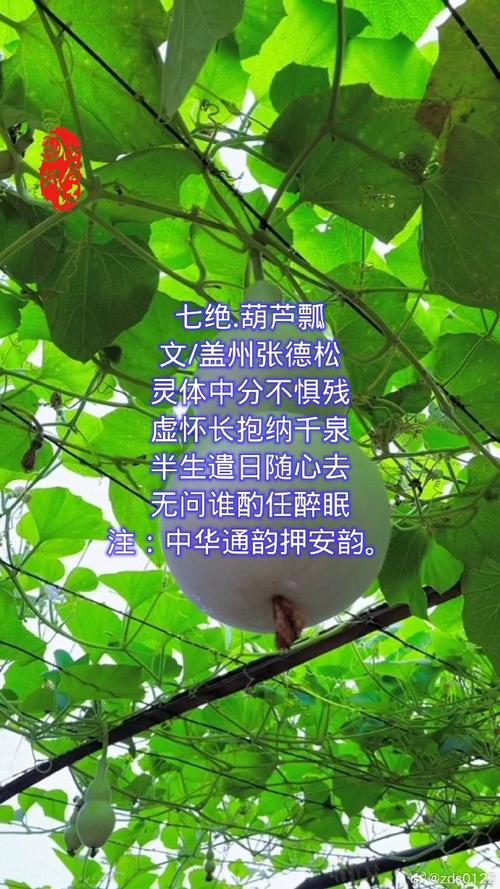 糖葫芦诗歌,糖葫芦诗歌散文-图2 糖葫芦诗歌,糖葫芦诗歌散文-图2