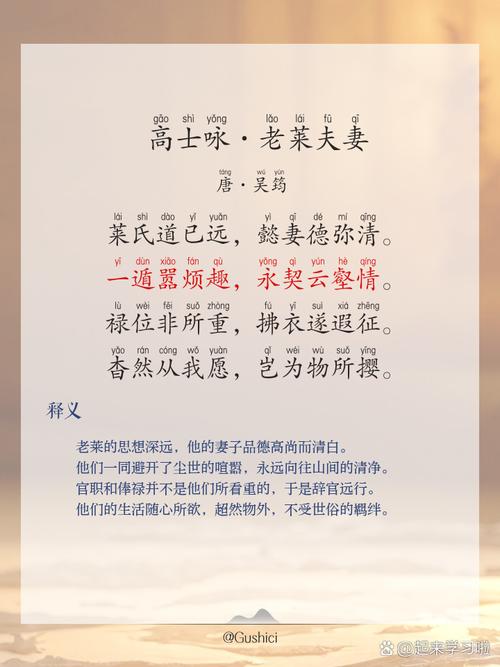 老伴诗歌，关于老伴的诗歌-图2