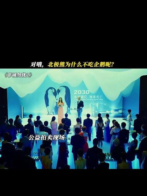 非诚勿扰2 诗歌，非诚勿扰2诗歌朗诵-图1