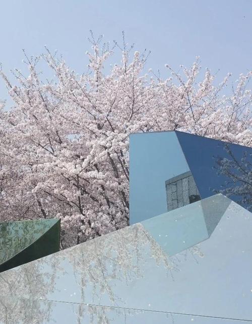 诗歌错过,诗歌错过林小仙-图2 诗歌错过,诗歌错过林小仙-图2