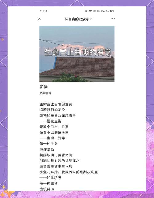 古典诗歌的生命情怀，古典诗歌的生命情怀pdf-图3