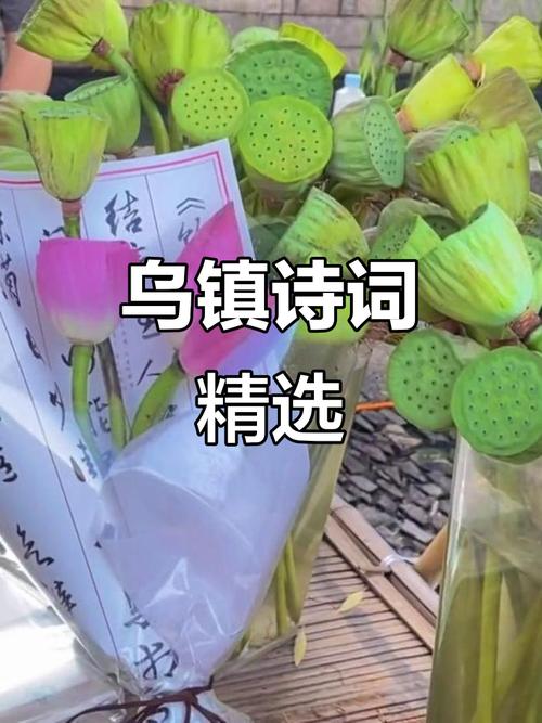 乌镇的名言短句，乌镇名言名句-图1