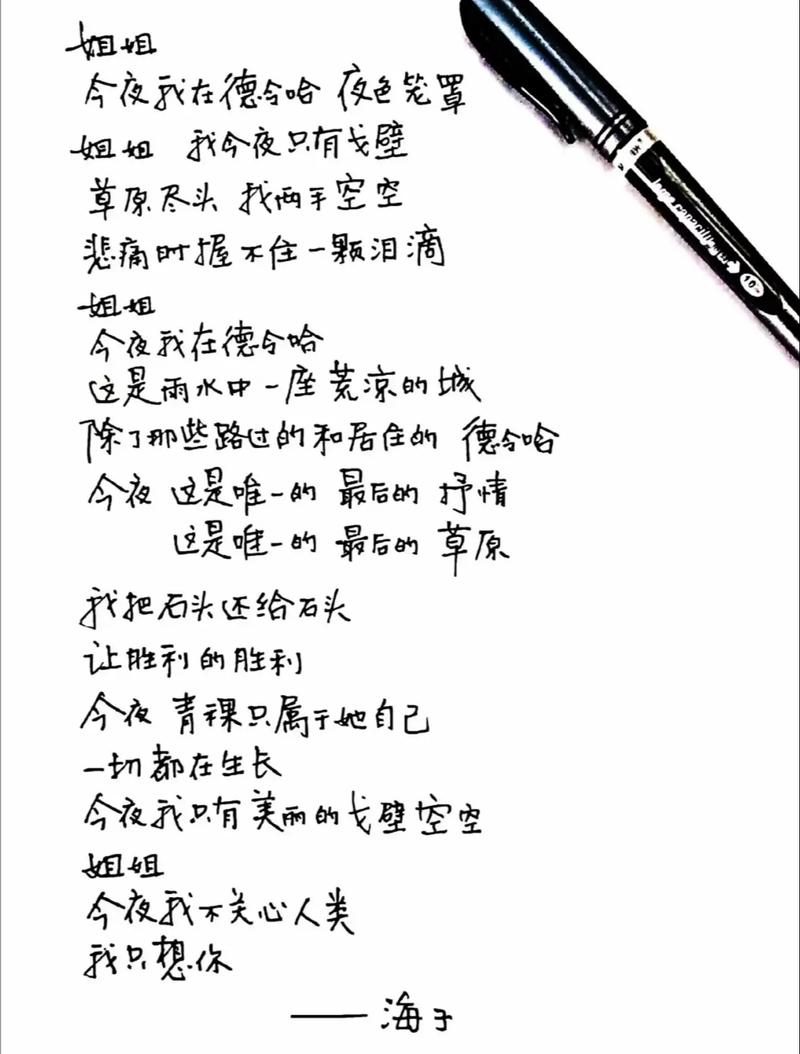 海子的名言，海子的名言名句-图2