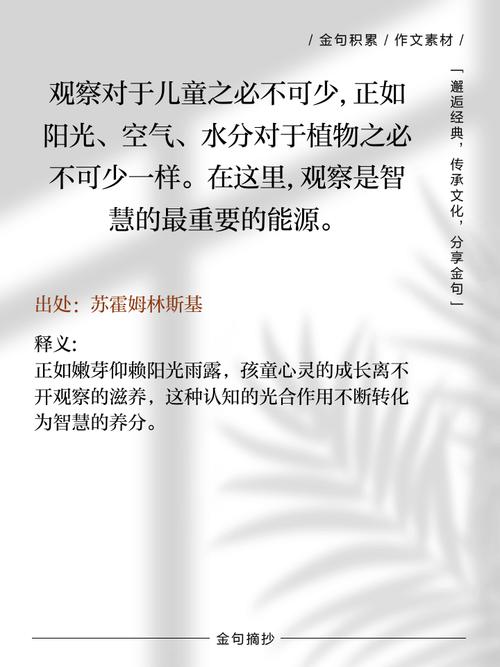 观察名言有哪些-图1 观察名言有哪些-图1