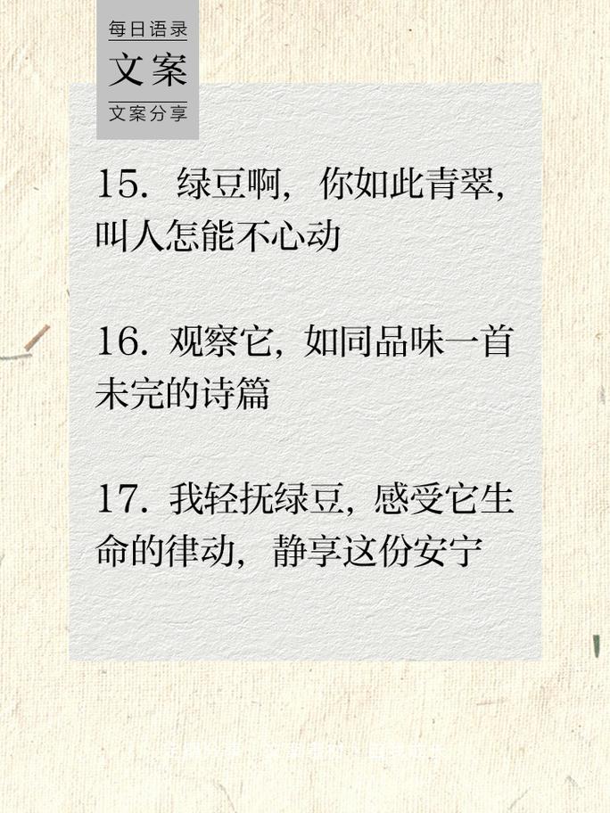 观察名言有哪些-图2 观察名言有哪些-图2