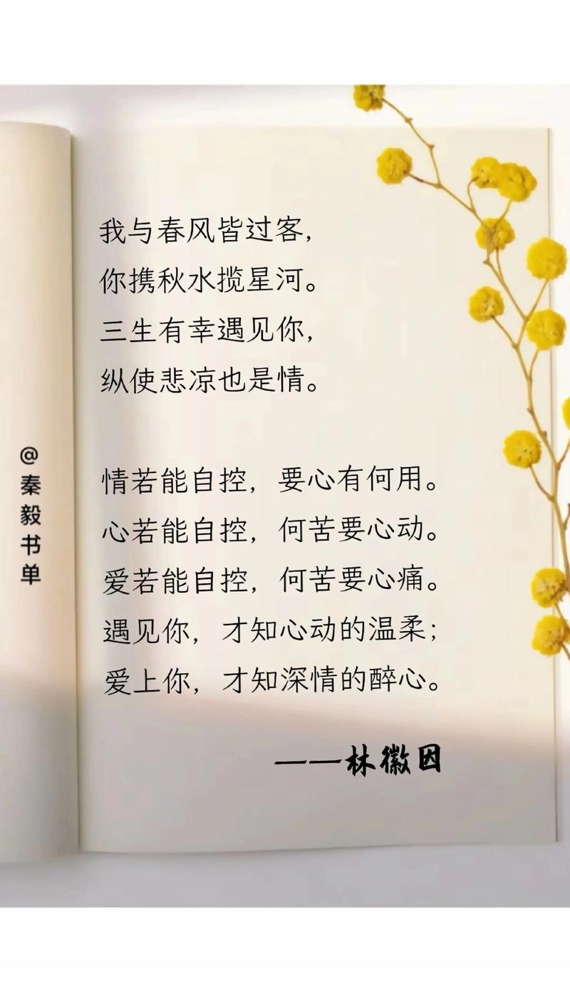 等待 的名言-图2