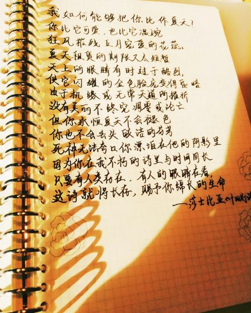 仲夏夜 诗歌-图3