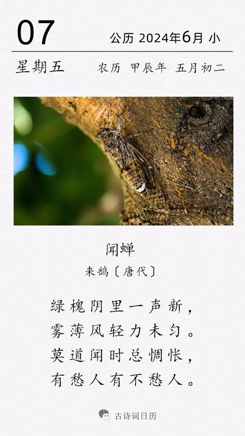 赞美蝉的名言，赞美蝉的名言或诗句-图3