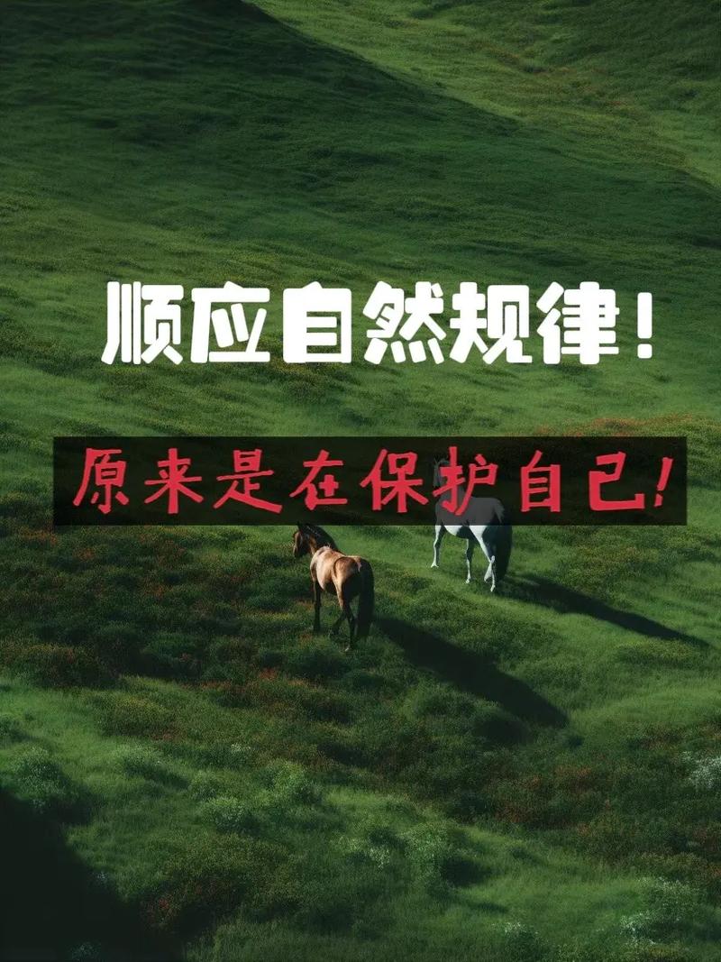 尊重自然规律的名言，尊重自然规律的名言警句-图1