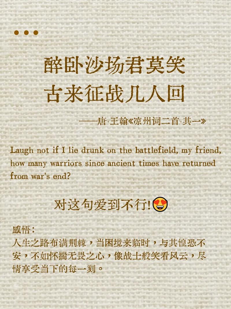 男人战死沙场名言-图2