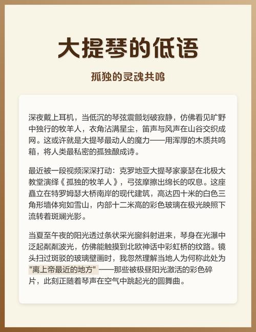 大提琴诗歌，大提琴的诗-图1