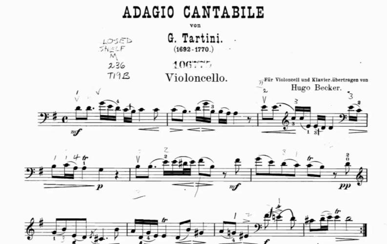 大提琴诗歌，大提琴的诗-图3