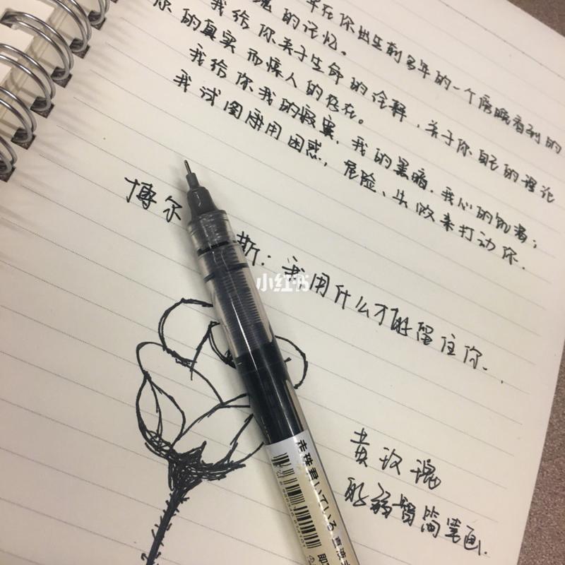 关于偶像的诗歌，关于偶像的诗歌自创-图3