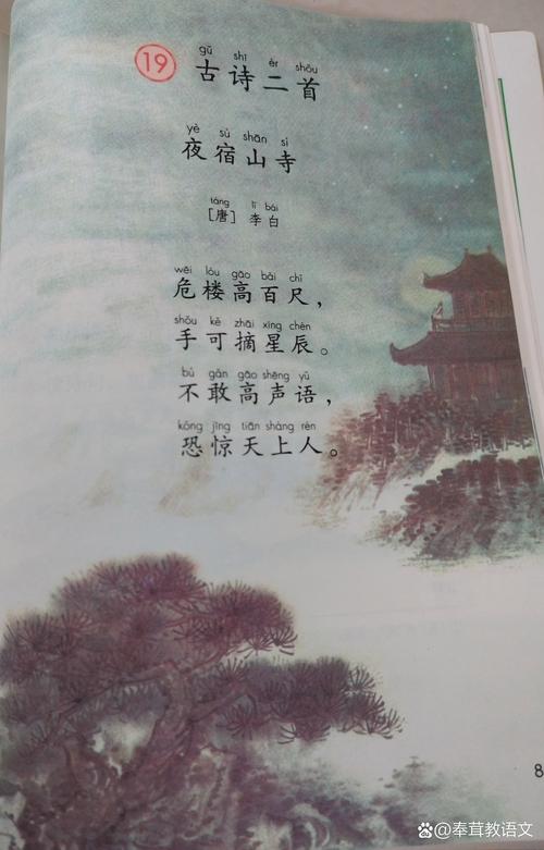 夏令营的诗歌-图2