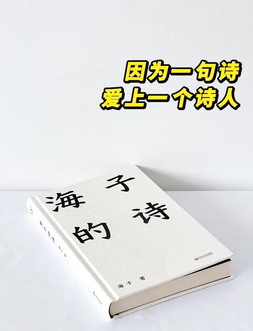 海涛诗歌藏着怎样的诗魂？-图3