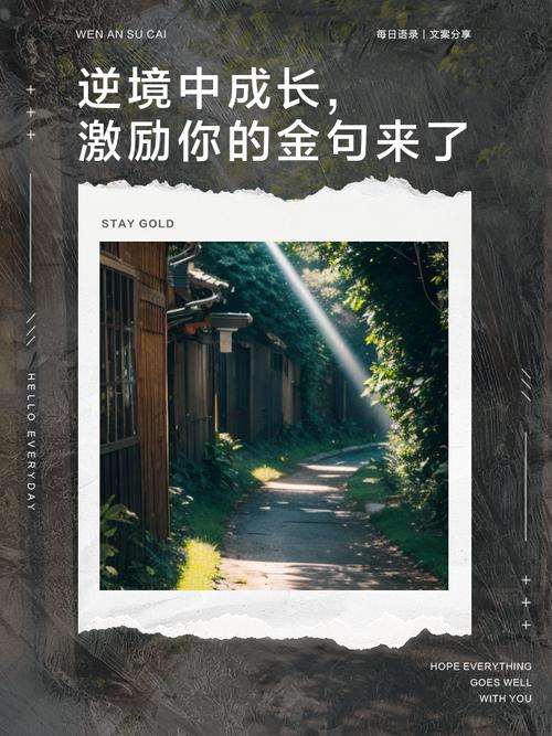 感谢给我逆境的人名言，感谢给我逆境的人名言句子-图2