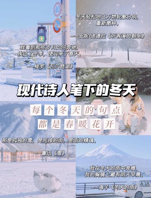 关于季节的现代诗歌，关于季节的现代诗歌四年级-图3