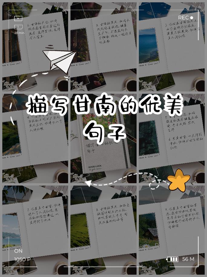 甘地名言，甘地名言名句大全-图1