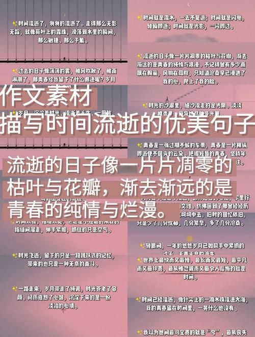 时光飞逝的名言-图3