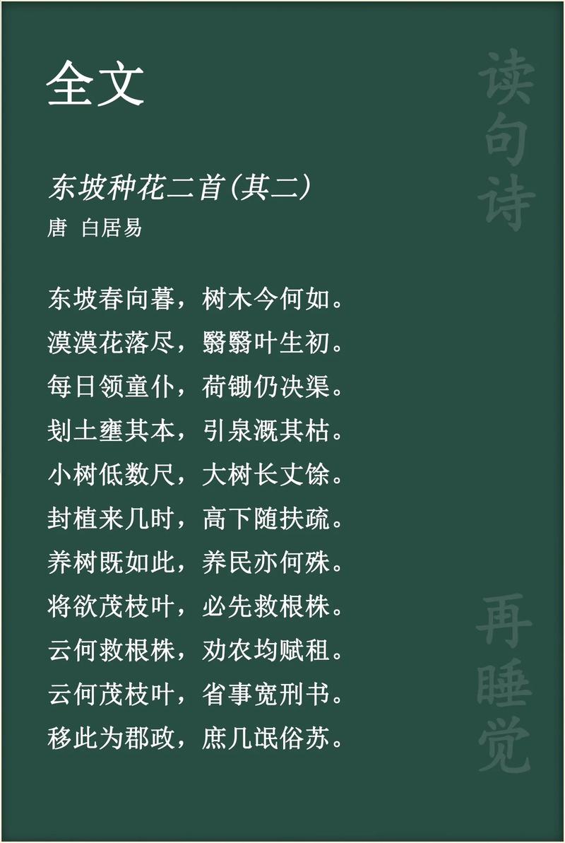 诗歌白居易，诗歌白居易的诗-图2