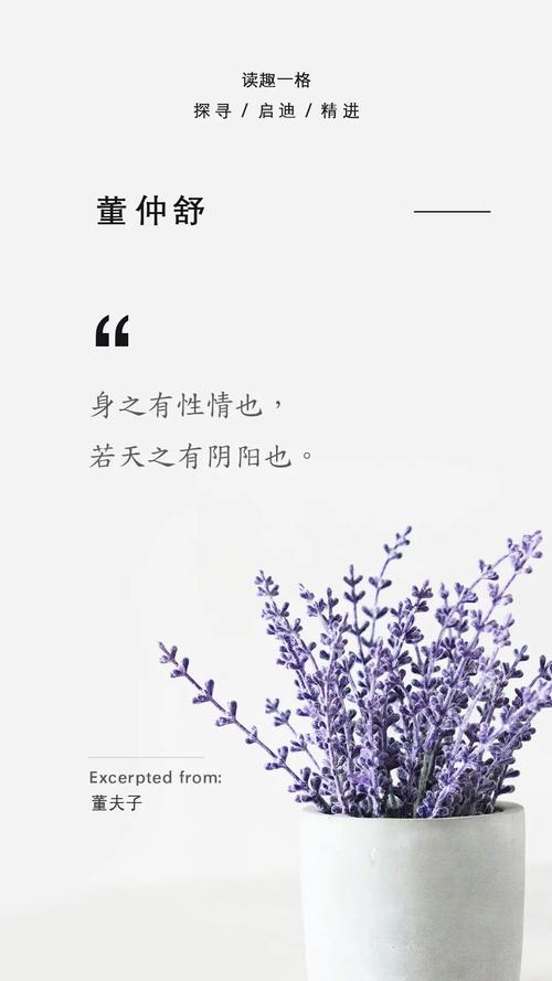 董仲舒名言名句,董仲舒名言名句诗词大全-图3 董仲舒名言名句,董仲舒名言名句诗词大全-图3