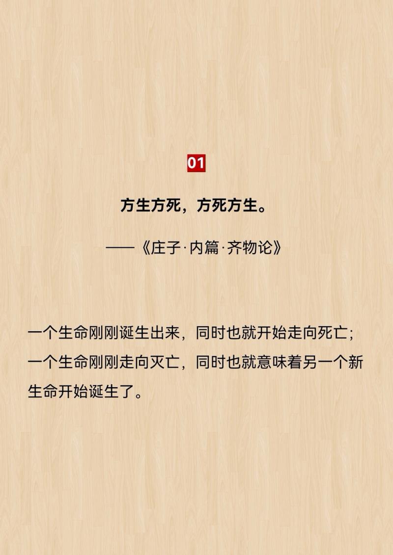 齐物论名言，齐物论名言警句-图2