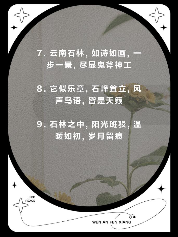 关于石头的名言名句，关于石头的名言名句有哪些-图3