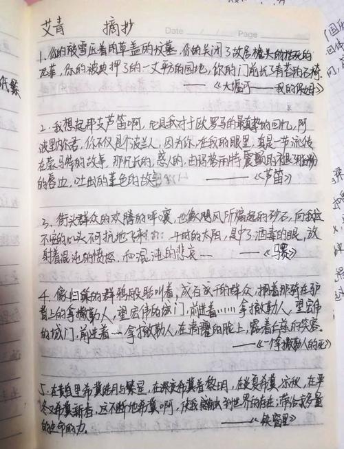 诗歌精选摘抄-图2