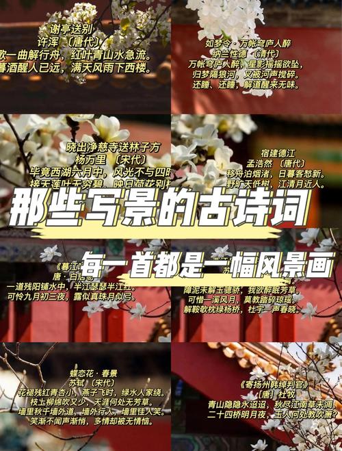 鉴赏古代诗歌的景物形象，鉴赏古代诗歌的景物形象有哪些-图1