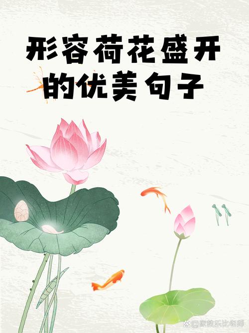 荷花的名言，关于荷花的名言-图1