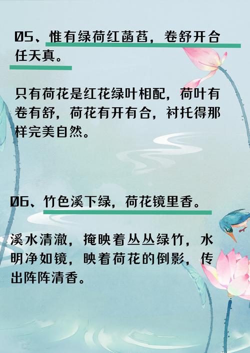 荷花的名言，关于荷花的名言-图2