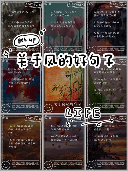 胡风名言，胡风的诗摘录-图2