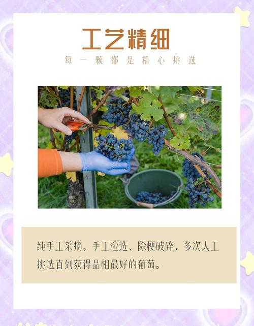 华诗歌精选,华诗歌精选干红葡萄酒价格-图2 华诗歌精选,华诗歌精选干红葡萄酒价格-图2