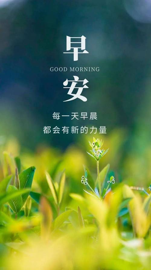 早安励志名言短句霸气,早安励志名言短句霸气图片-图3 早安励志名言短句霸气,早安励志名言短句霸气图片-图3