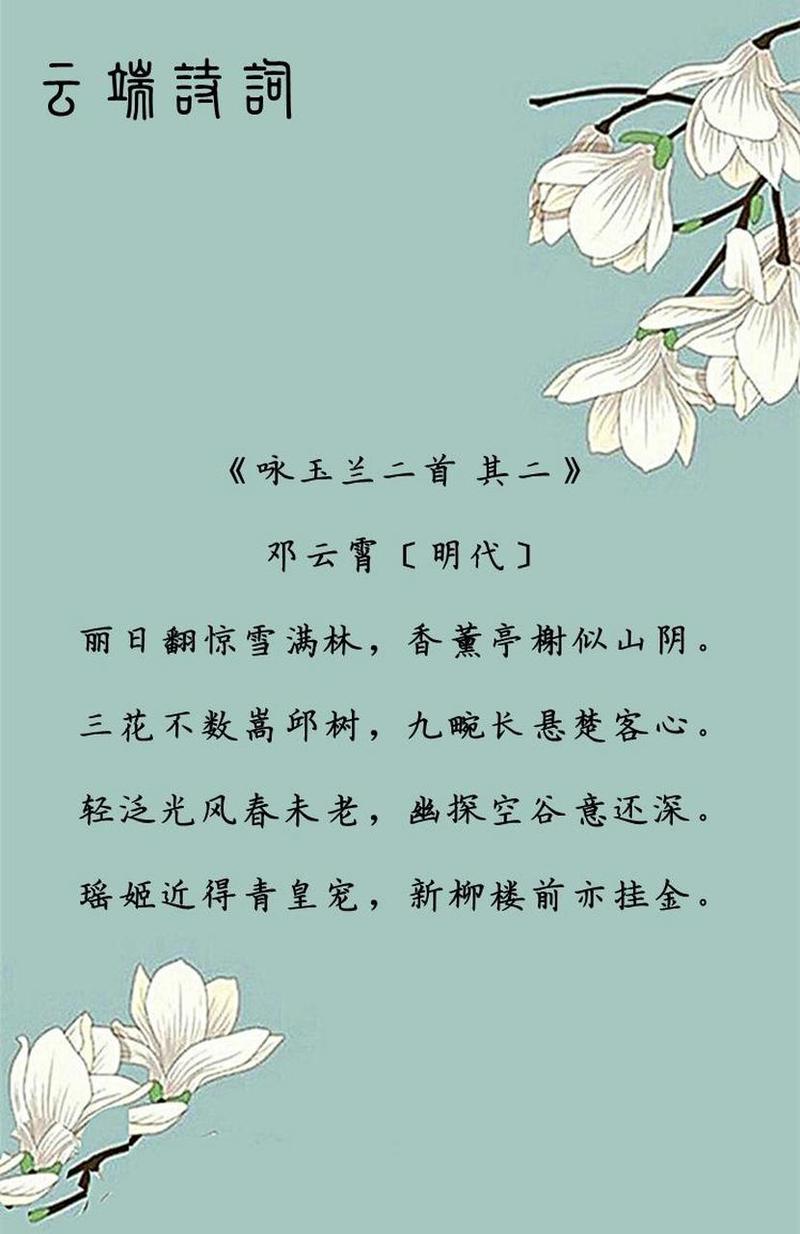 关于玉兰花的诗歌，关于玉兰花的诗歌现代诗-图1