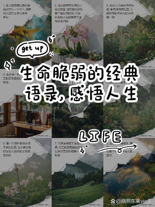 关于生命脆弱的名言，关于生命脆弱的名言警句-图3