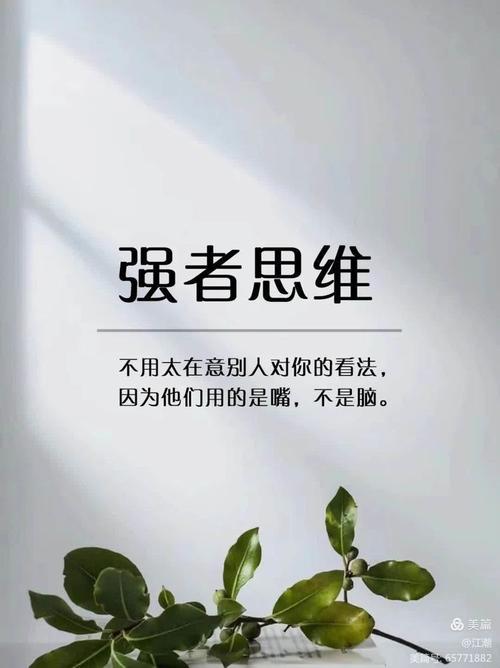 名言如何塑造思维？-图3